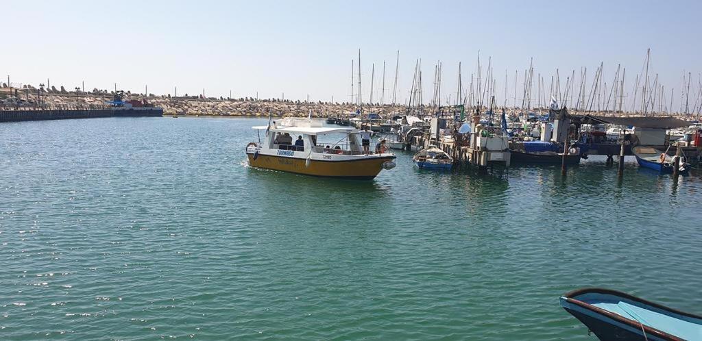 Rotem Suite In Marina Ashklon Ashkelon Ngoại thất bức ảnh